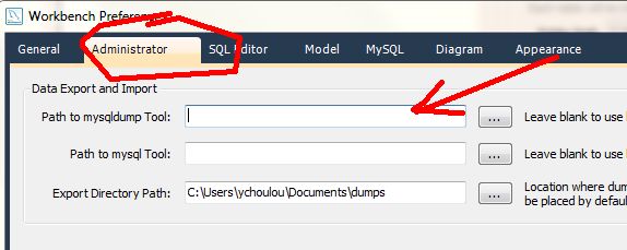 mysql_workbench_mysqldump_access_denied